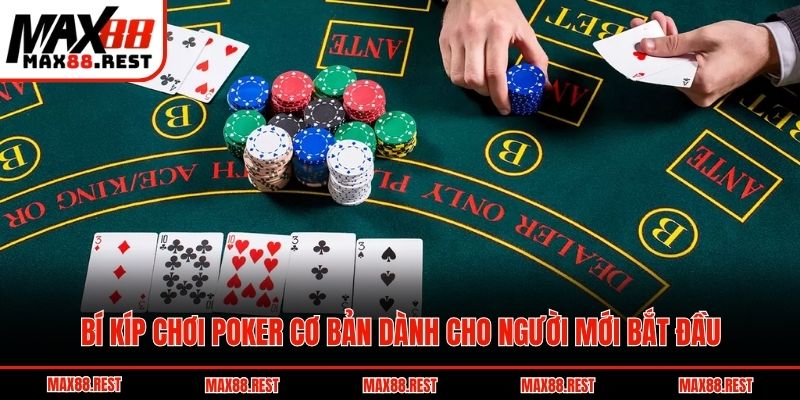 Bí kíp chơi Poker cơ bản dành cho người mới bắt đầu