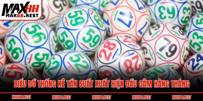 Biểu đồ thống kê tần suất xuất hiện đầu câm hàng tháng