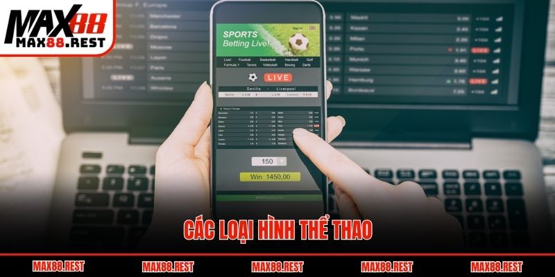 Các loại hình thể thao
