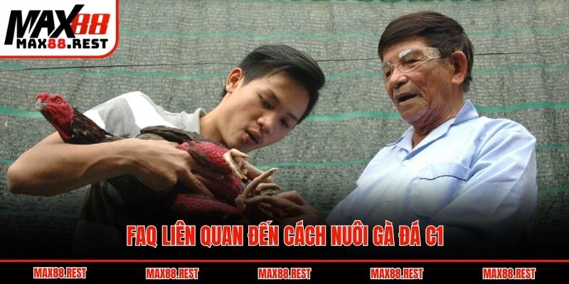 FAQ liên quan đến cách nuôi gà đá c1