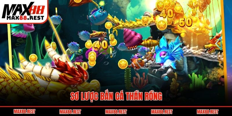 Sơ lược bắn cá thần rồng