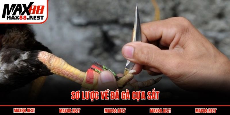 Sơ lược về đá gà cựa sắt
